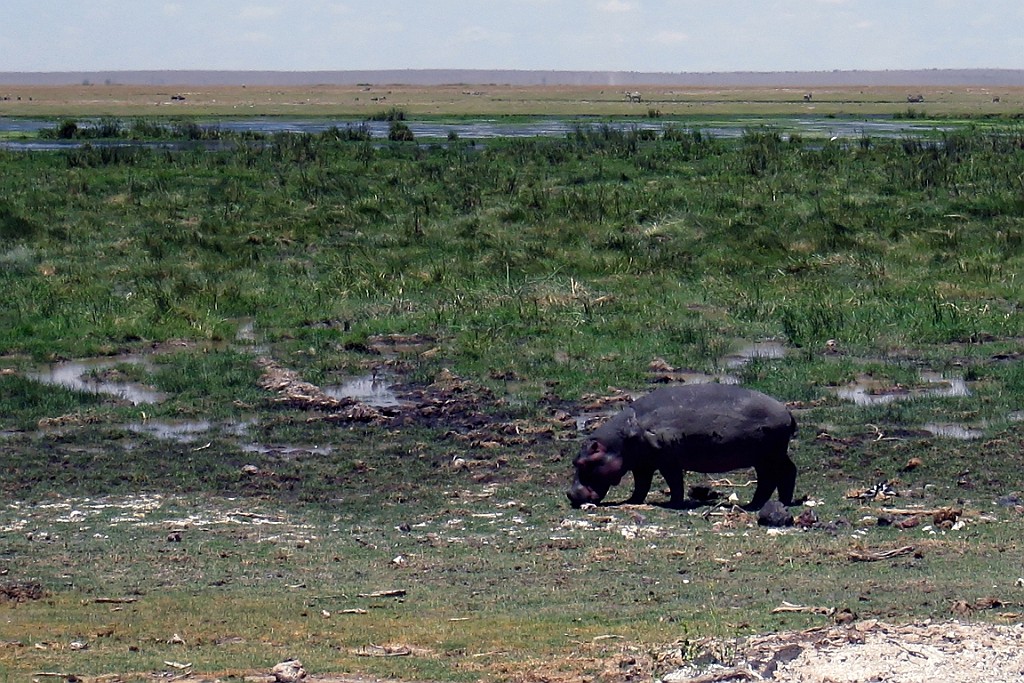 Kenia (212).jpg